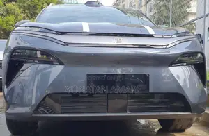 New BYD Song L DM-i 2025 Gray