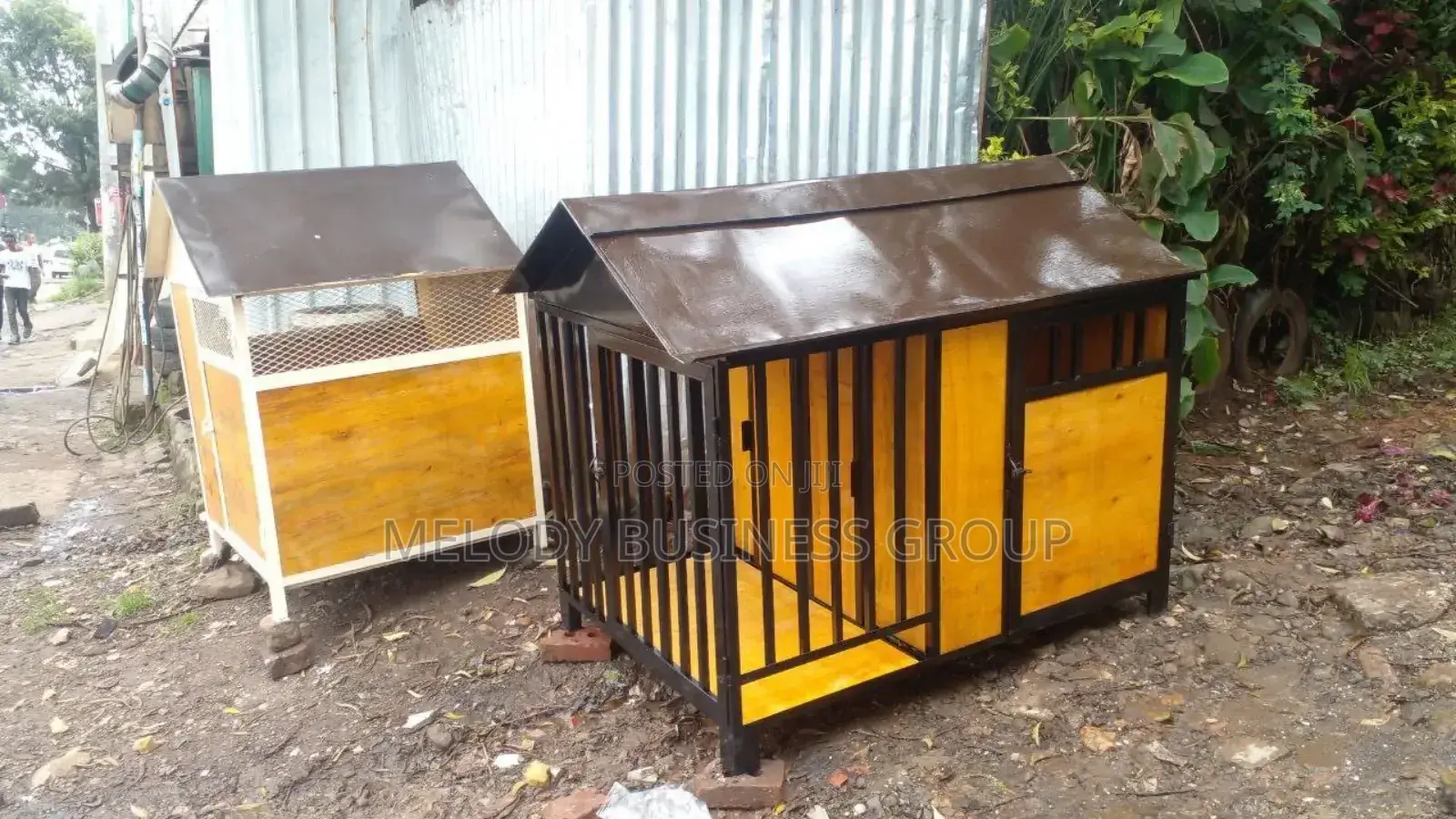 Dog House , Kennel , የውሻ ቤት