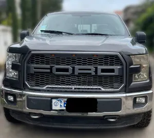 Ford F-150 XLT 4dr SuperCab 4WD 8 ft. LB (5.0L 8cyl 6A) 2015 Gray