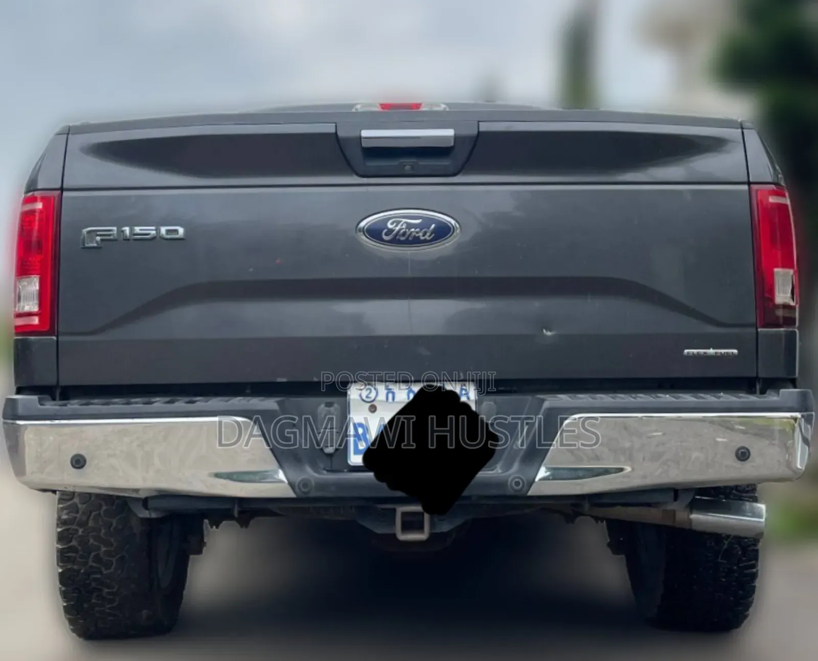 Ford F-150 XLT 4dr SuperCab 4WD 8 ft. LB (5.0L 8cyl 6A) 2015 Gray