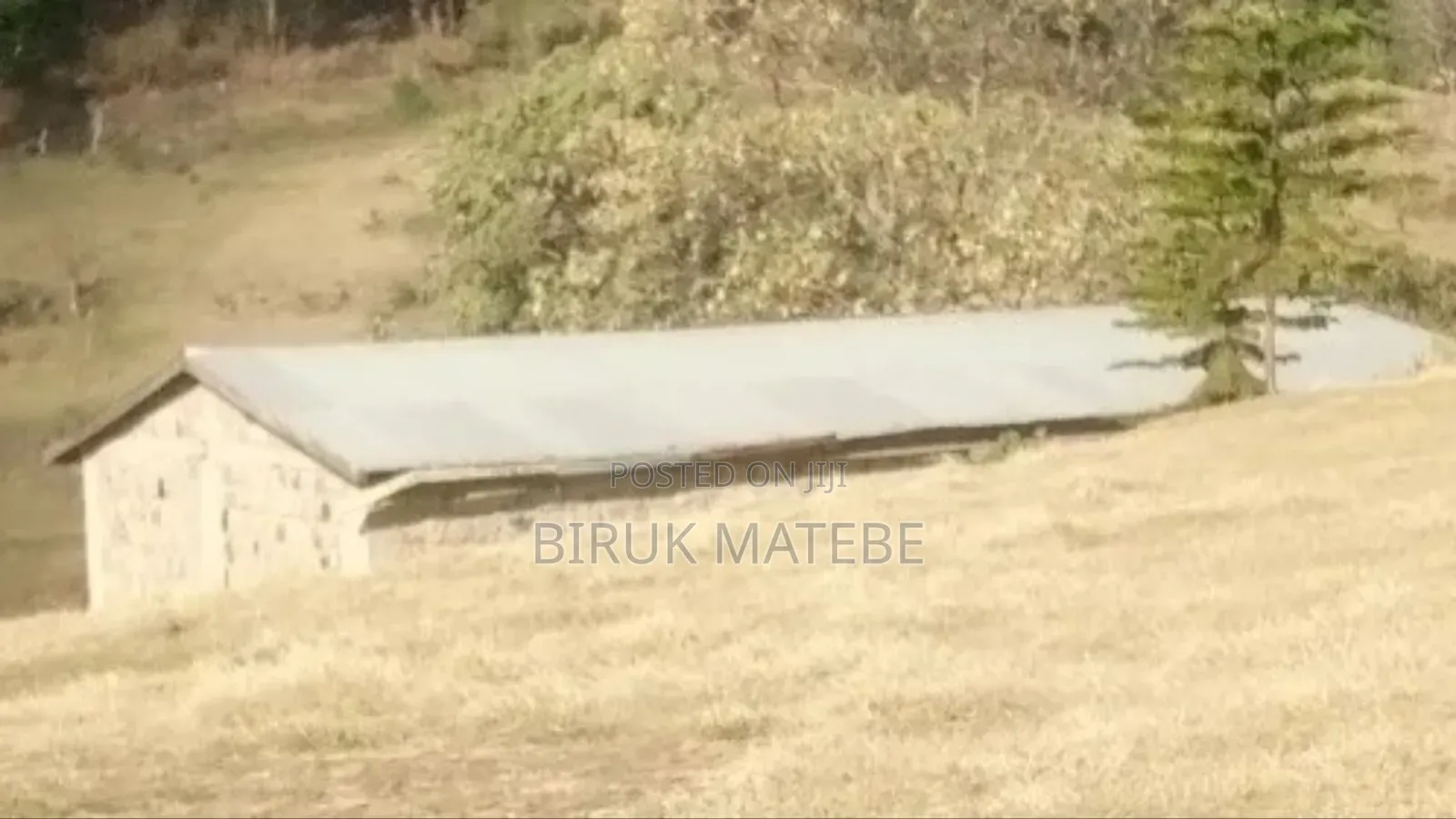 የሚሸጥ ቤት የሪል እስቴት የሚሆን