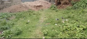 Photo - La Manora Ena La Sera Yemihone Bota 400 Ena 200 Karta Yalew Badobbota