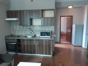 Furnished 1bdrm Apartment in Russia Camp, Nifas Silk-Lafto for rent