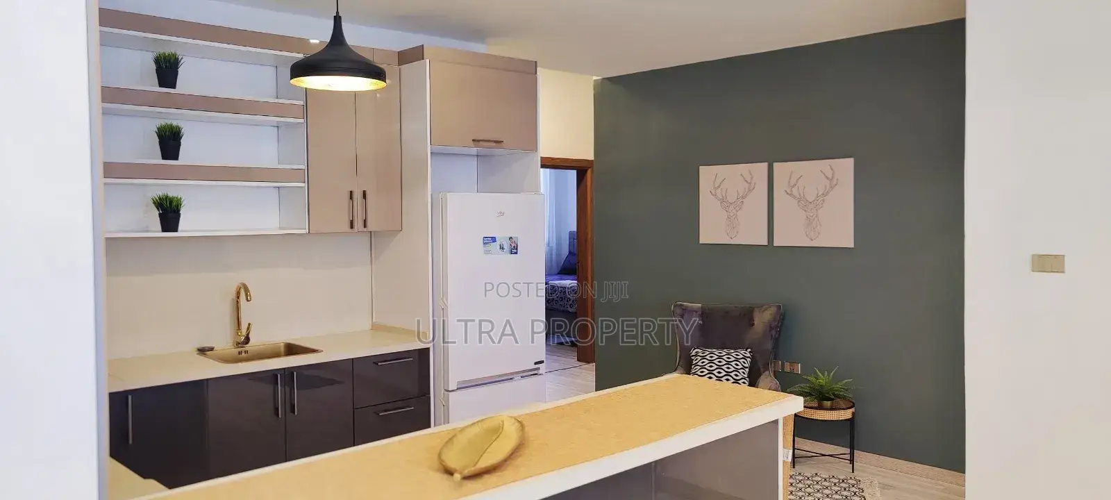 Furnished 4bdrm Apartment in Bole for rent