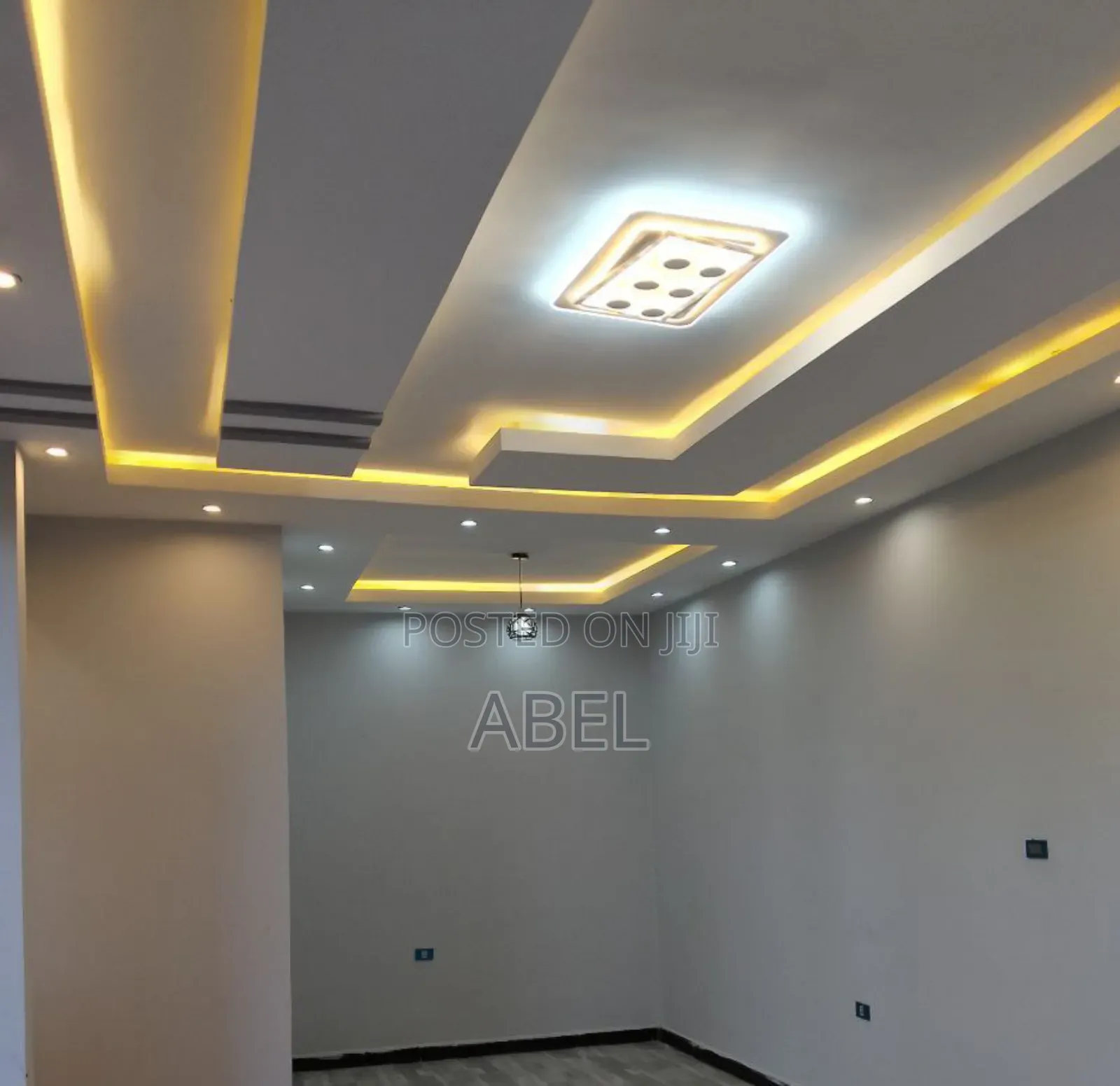 Professional Electrician