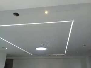 Professional Electrician