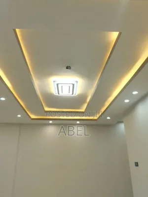 Professional Electrician