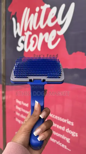 Self Clean Brush