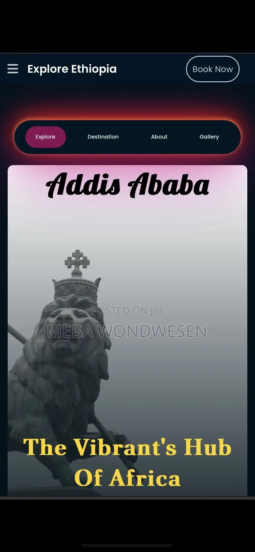 Website Developer | Website Development