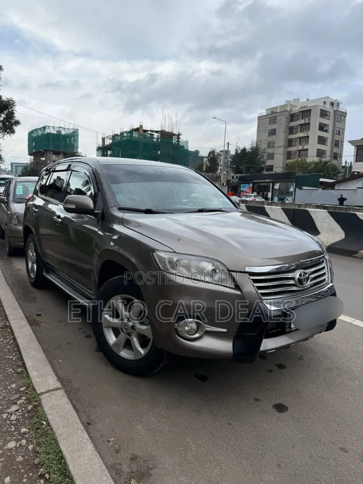 Toyota RAV4 2010 Brown