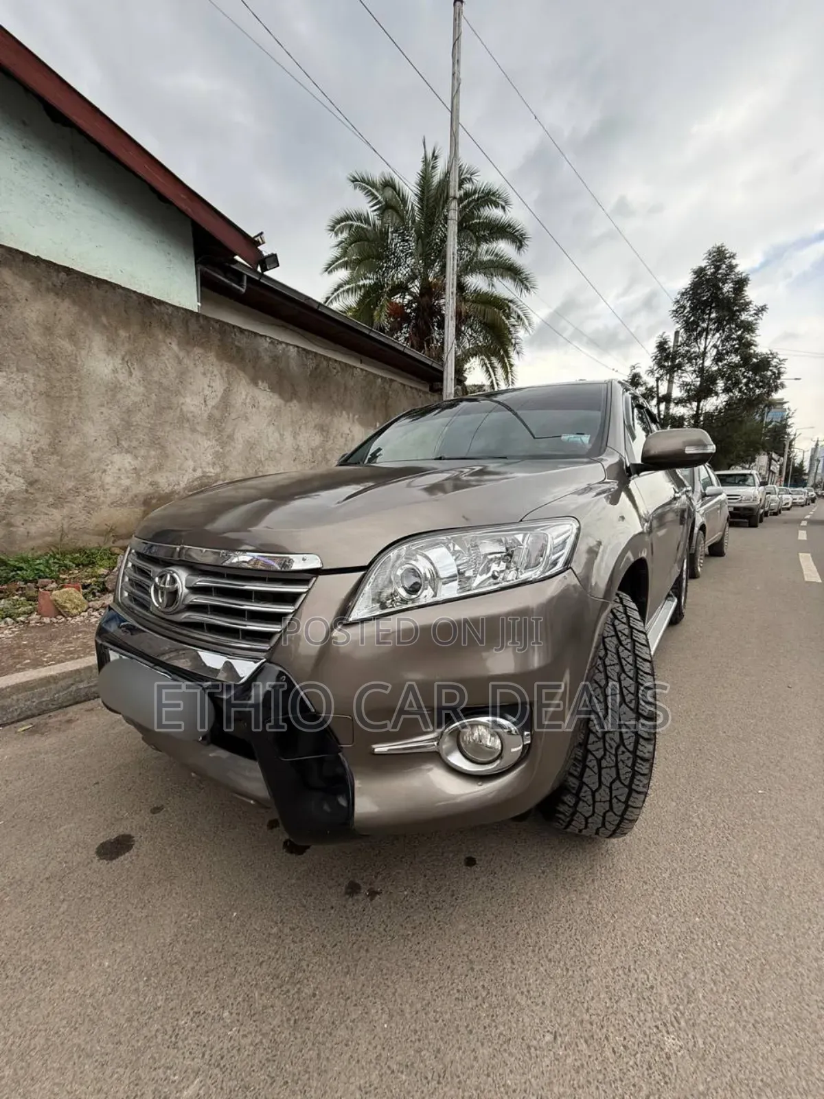 Toyota RAV4 2010 Brown