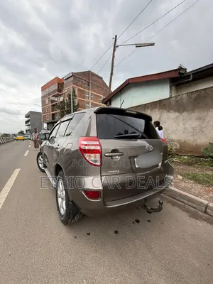 Toyota RAV4 2010 Brown