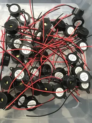 Photo - Electronic Buzzer