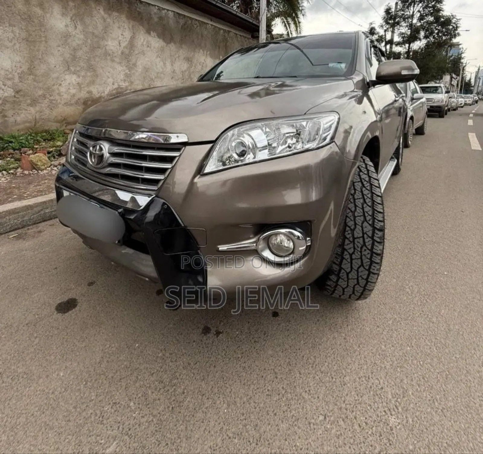 Toyota RAV4 2010 Brown