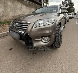 Photo - Toyota RAV4 2010 Brown