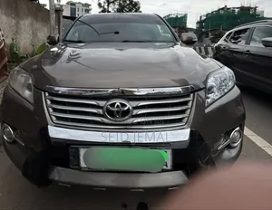 Toyota RAV4 2010 Brown