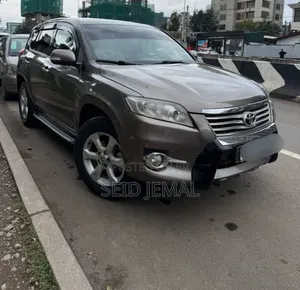 Toyota RAV4 2010 Brown