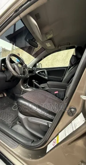 Toyota RAV4 2010 Brown