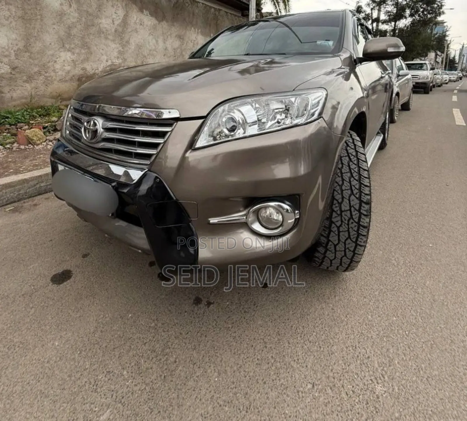 Toyota RAV4 2010 Brown