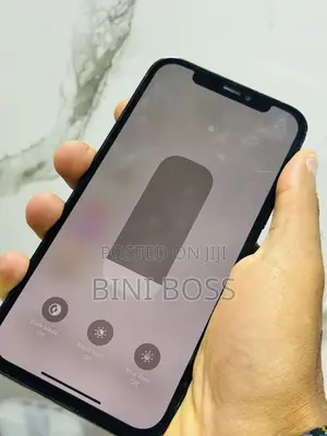 New Apple iPhone 12 Pro 256 GB Blue