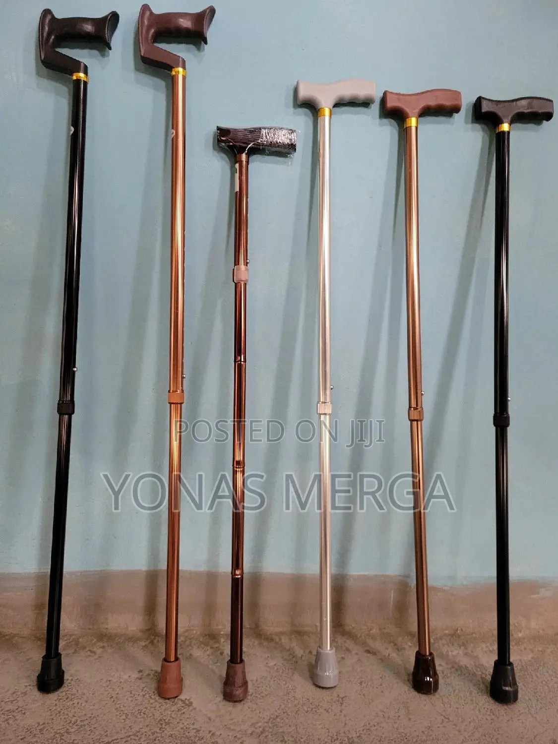 Walking Stick+Cane麪粵both Their Functionality and Aesthetic Appeal.