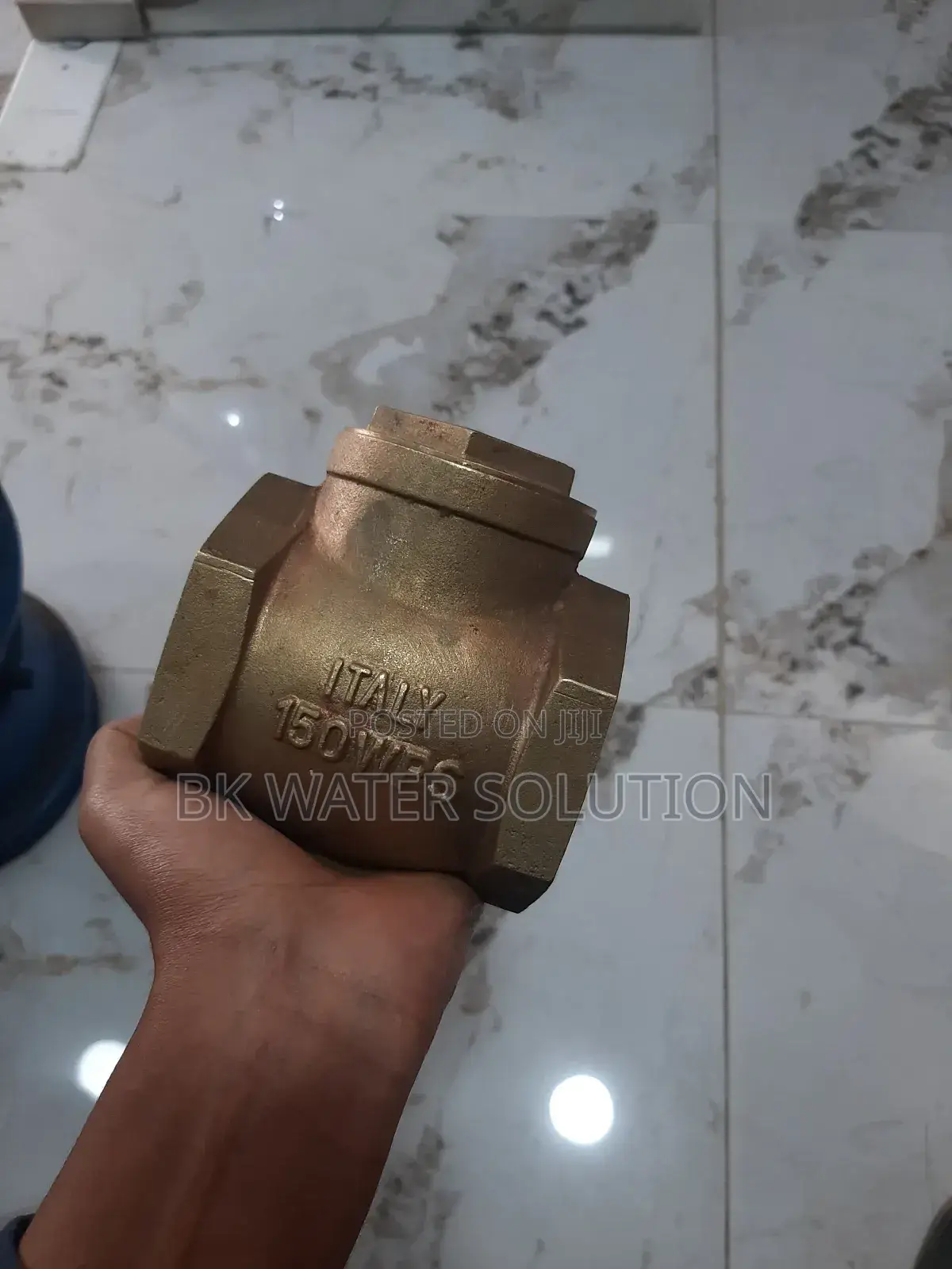 Cheek Valve