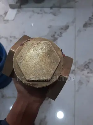 Cheek Valve