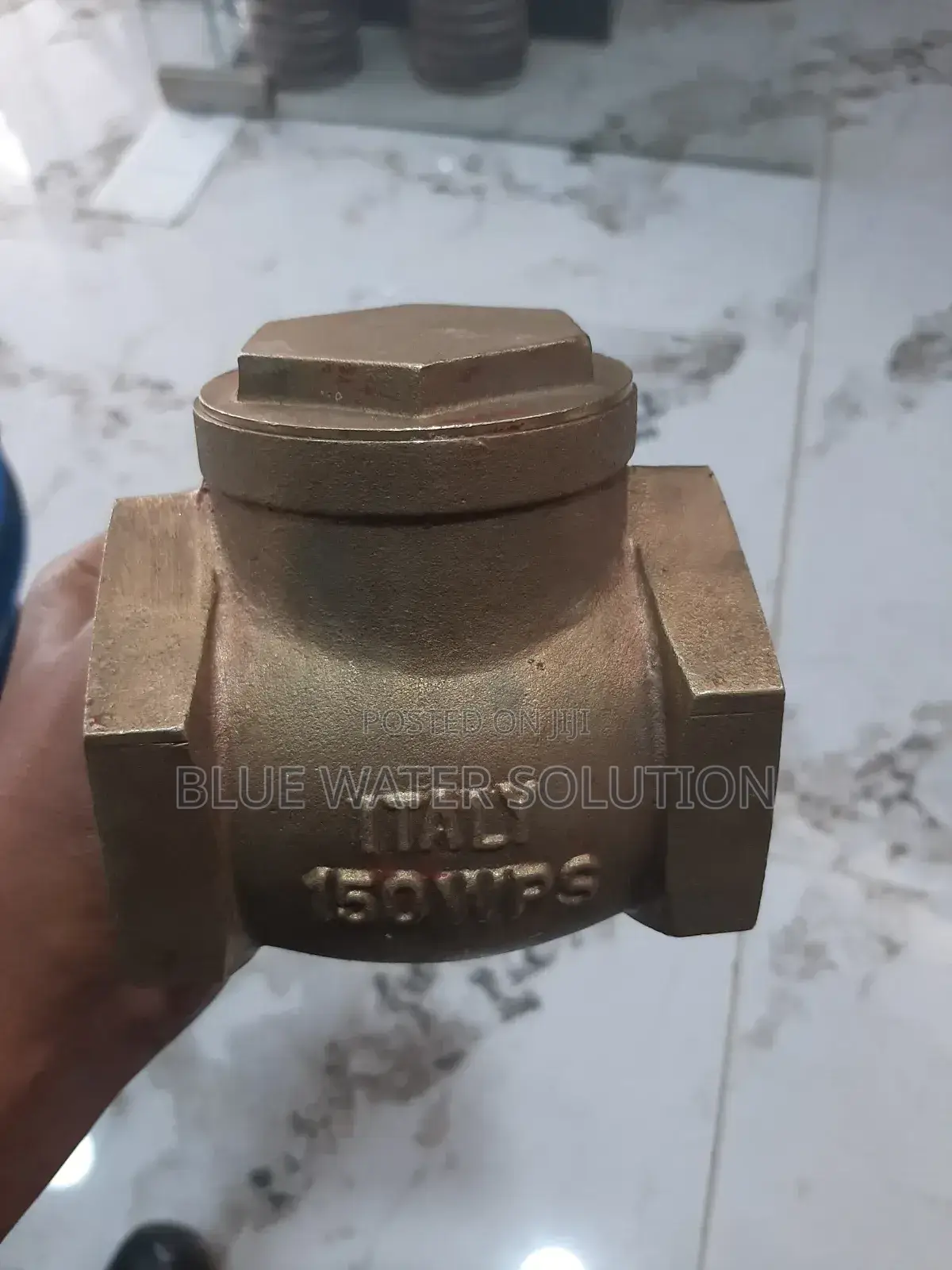 Cheek Valve