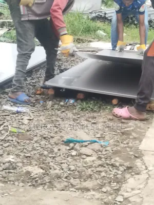 Photo - Stainless Steel Plates