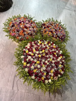 Photo - የ ሽምግልና አበባ