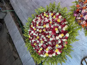 የ ሽምግልና አበባ