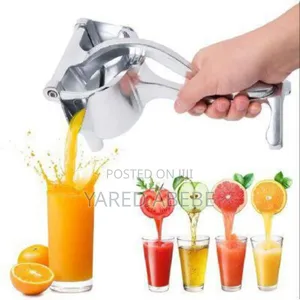 Manual Fruit Press