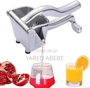Manual Fruit Press