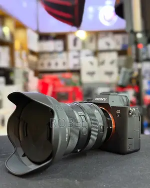 Photo - Sony Alpha 7 Iv With Sigma 24-70mm Mark 2 F2.8