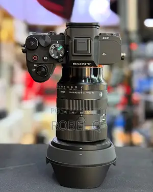 Sony Alpha 7 Iv With Sigma 24-70mm Mark 2 F2.8