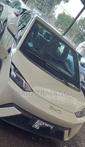 Photo - BYD Seagull 2025 White