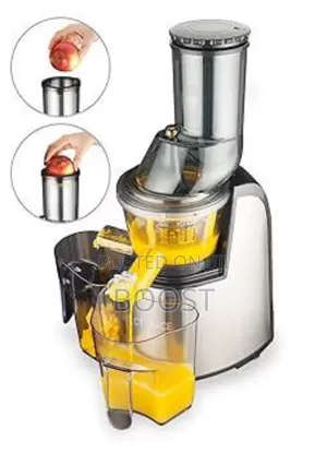 Silver Love Slow Juicer