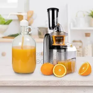 Silver Love Slow Juicer