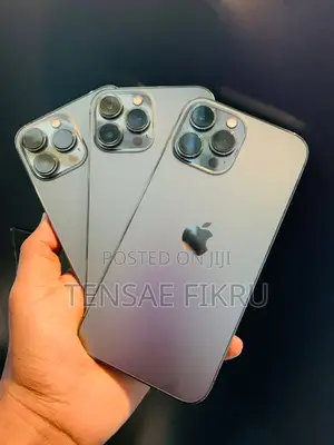 Apple iPhone 13 Pro Max 128 GB Gray