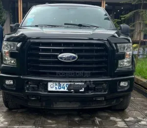 Ford F-150 2017 Matt Black