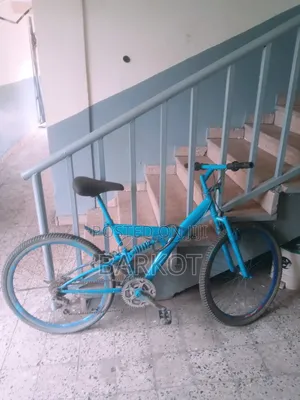 Photo - Creeper Cylcle