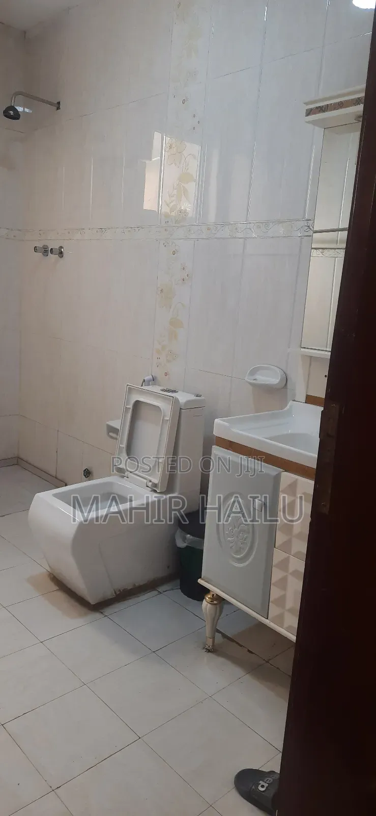 Furnished 9bdrm House in Real, Bole for rent