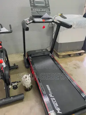 Photo - Miracle + Reebok + Adidas Home Sport Treadmills