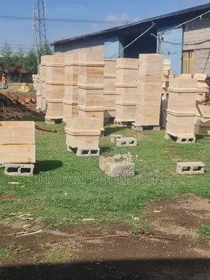 ዘመናዊ የንብ ቀፎ በመጠቀም የተሻለ የማር ምርት ማግኘት እንደሚቻል ስንቶቻችን እናውቃለን?