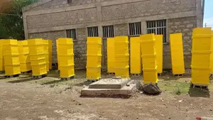 ዘመናዊ የንብ ቀፎ በመጠቀም የተሻለ የማር ምርት ማግኘት እንደሚቻል ስንቶቻችን እናውቃለን?