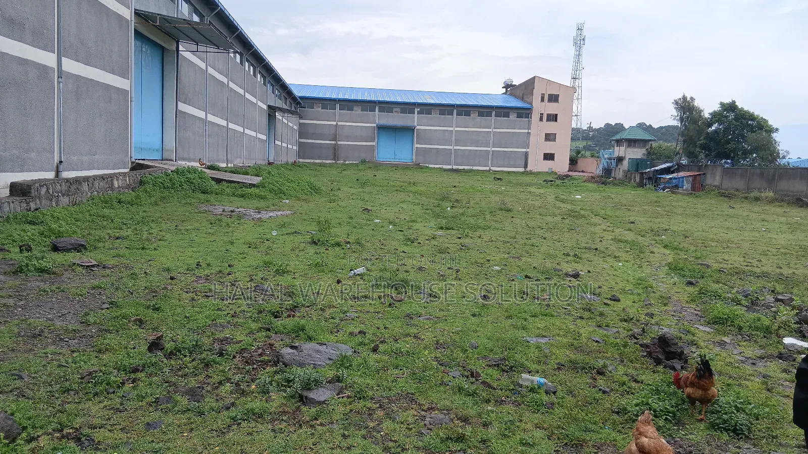 Warehouse for Sale at Sheger City