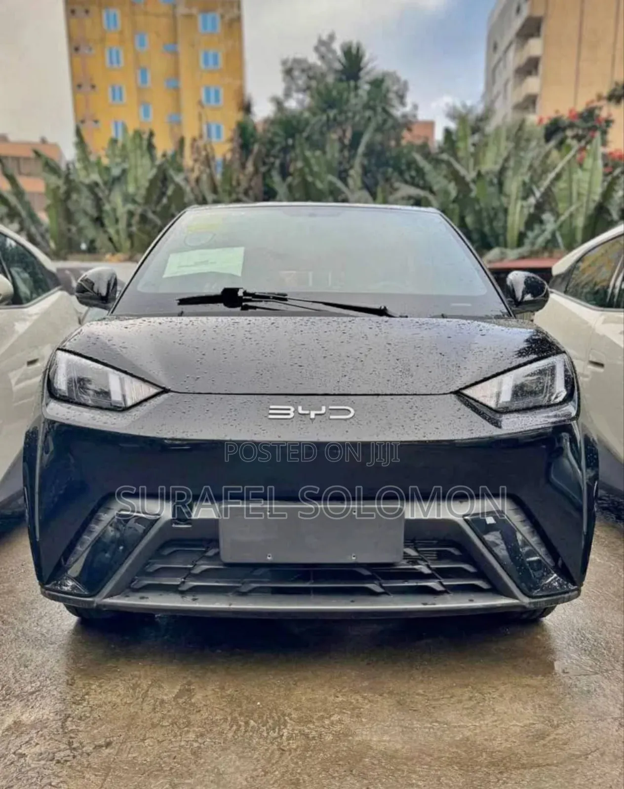 New BYD Seagull 2025 Black