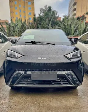 Photo - New BYD Seagull 2025 Black