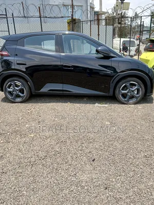 New BYD Seagull 2025 Black