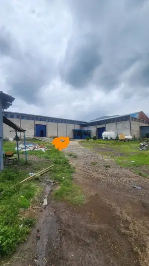 Photo - 5000 M2 የሚሼጥ መጋዘን Warehouse Gellan Industrial Zone